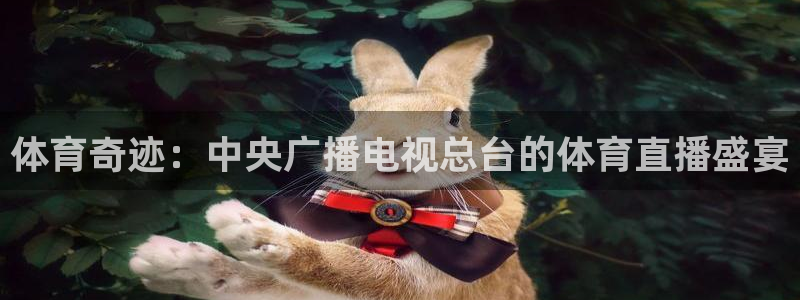 搜球直播体育：体育奇迹：中央广播电视总台的体育直播盛宴
