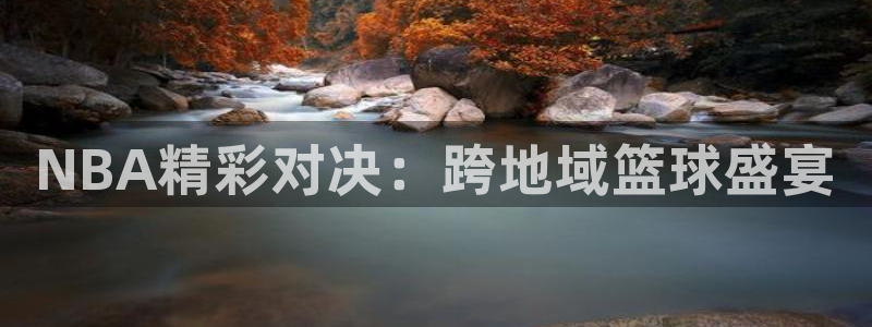 搜球体育下载：NBA精彩对决：跨地域篮球盛宴