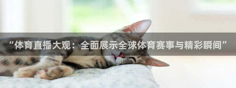 搜球吧8直播免费观看：“体育直播大观：全面展示全球体育赛事与精彩瞬间”