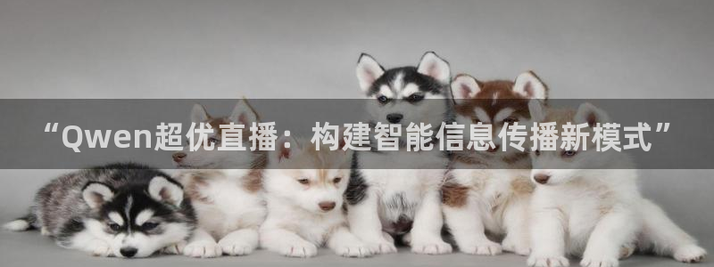搜球吧nba视频直播：“Qwen超优直播：构建智能信息传播新模式”