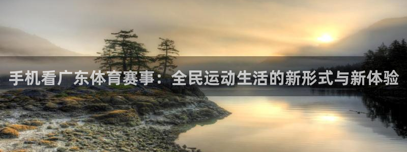 搜球体育官网：手机看广东体育赛事：全民运动生活的新形式与新体验