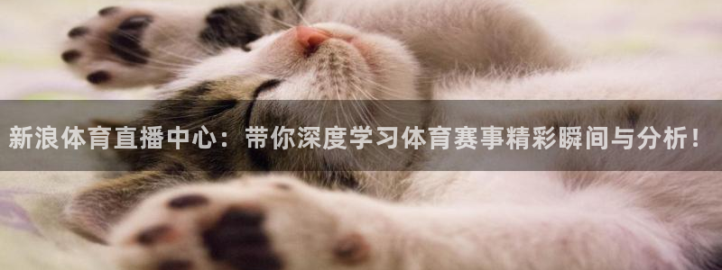 搜球吧直播：新浪体育直播中心：带你深度学习体育赛事精彩瞬间与分析！