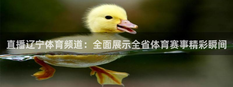 搜球8直播：直播辽宁体育频道：全面展示全省体育赛事精彩瞬间