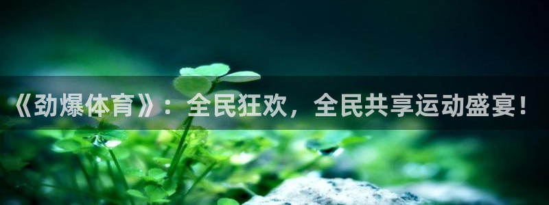 搜球吧8直播：《劲爆体育》：全民狂欢，全民共享运动盛宴！