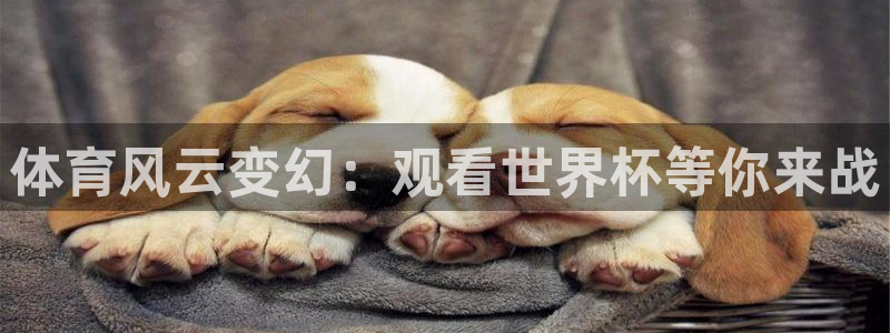 搜球吧零点吧nba直播：体育风云变幻：观看世界杯等你来战